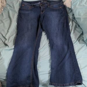 Source of wisdom by Torrid size 20 flare jeans